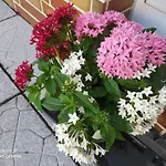 아파트 Ferienwohnung
