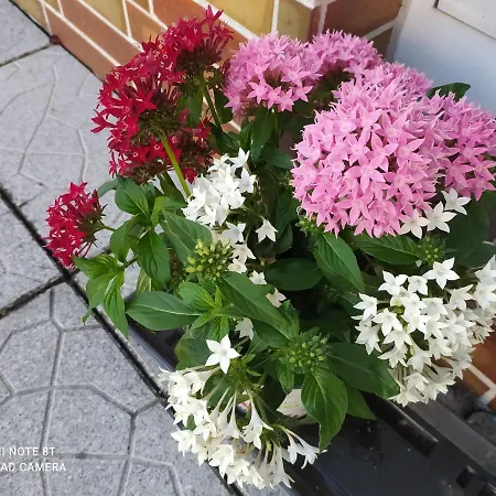 公寓 Ferienwohnung